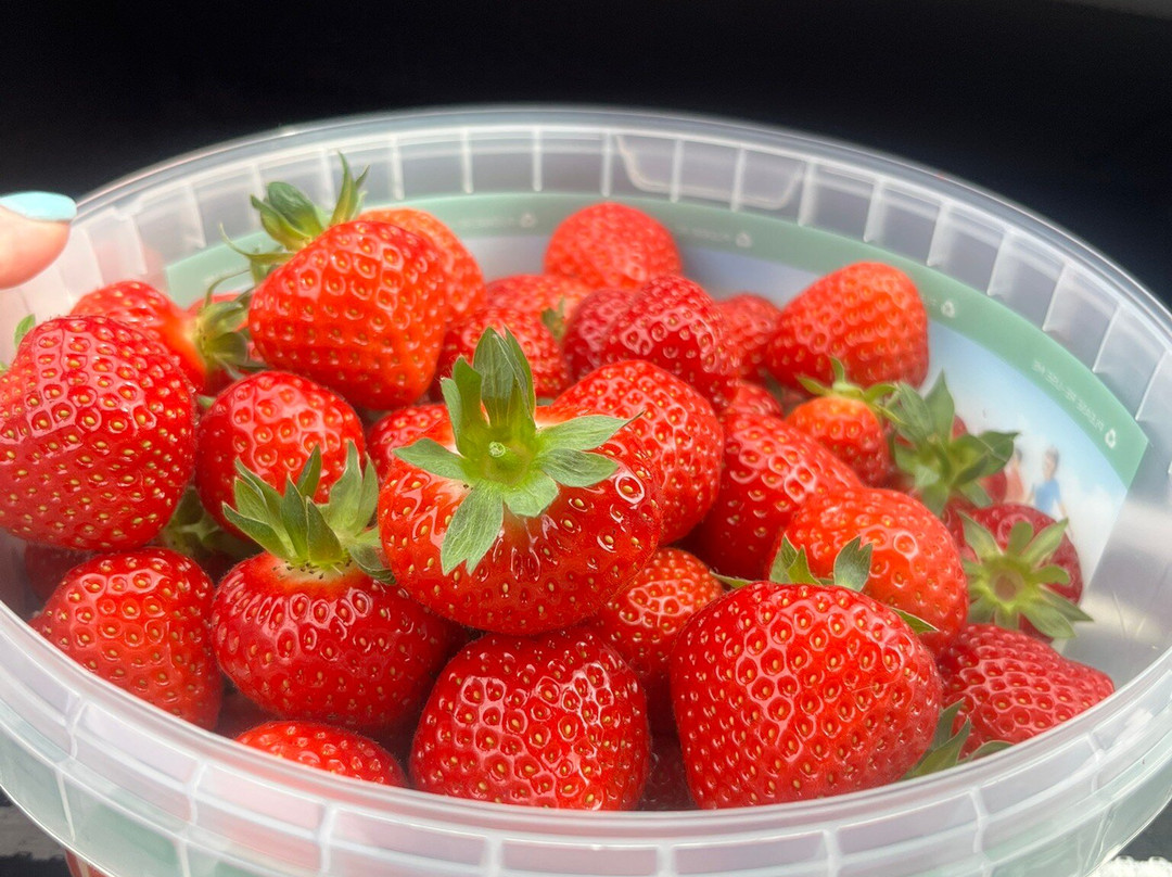 Woore Fruit Farm-Woore必去景点