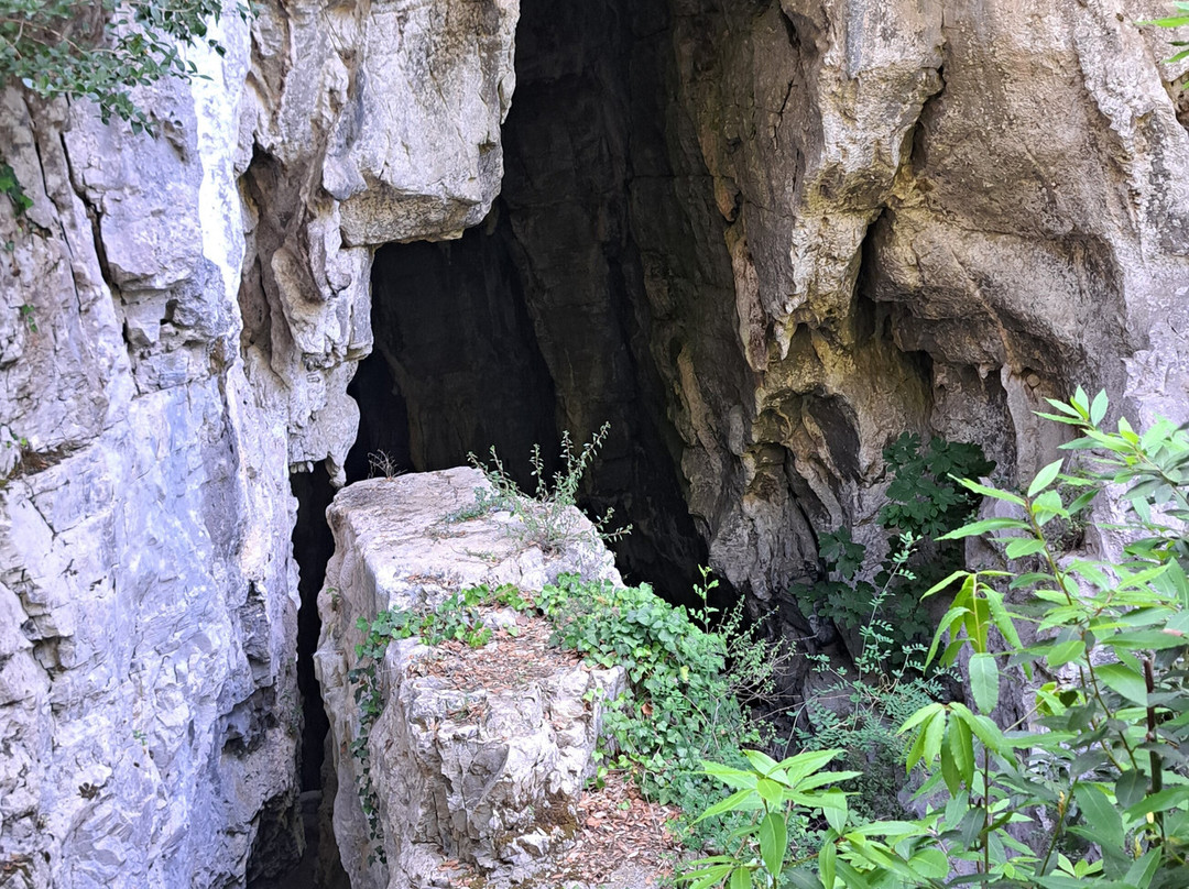 Oasi WWF Grotte del Bussento-Morigerati必去景点