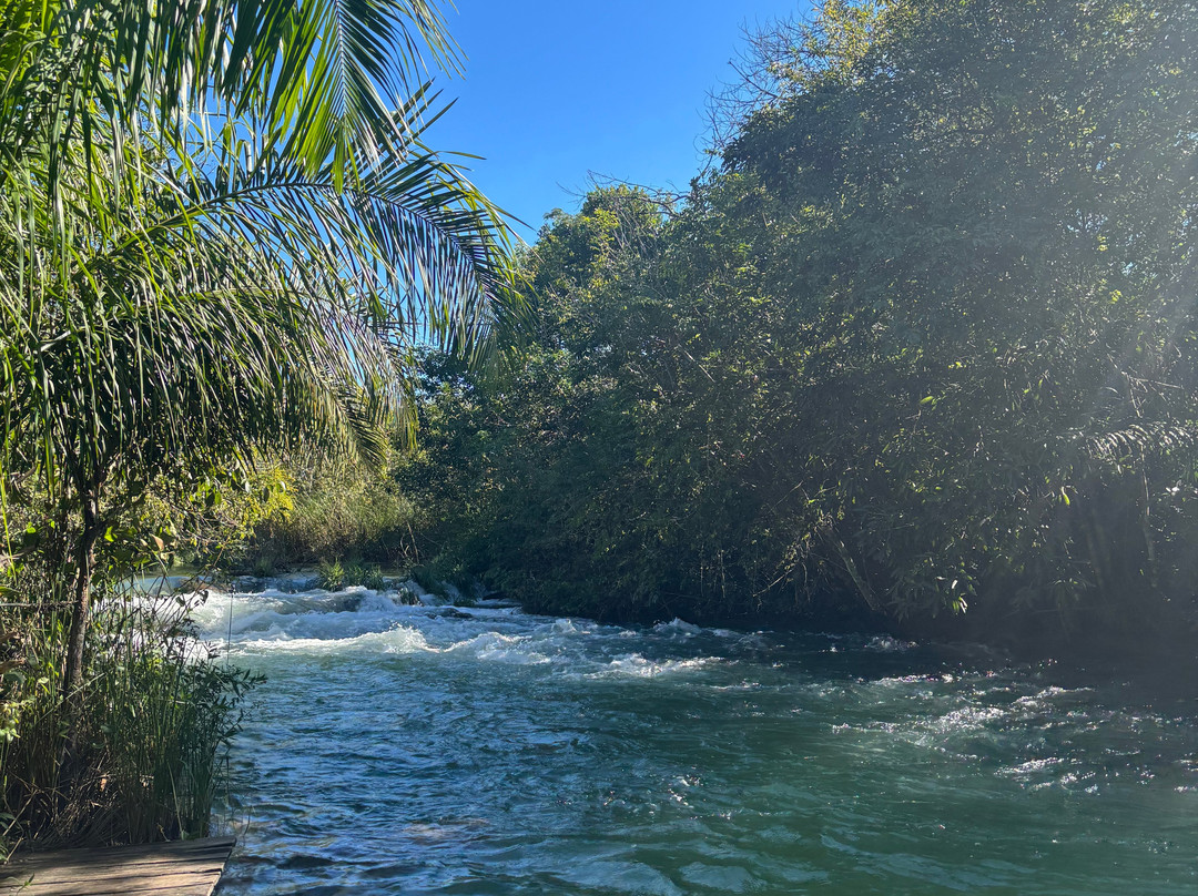 Parque Ecológico Rio Formoso-博尼图必去景点