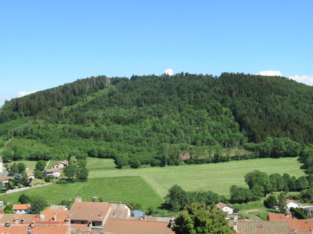 Tourbière du Mont Bar