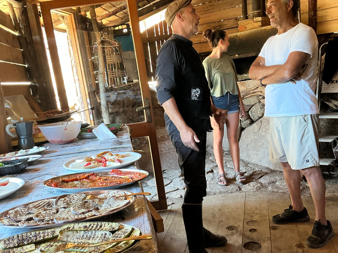 Sardinian Donkeys Farm Is Burriccheddus-Burcei必去景点