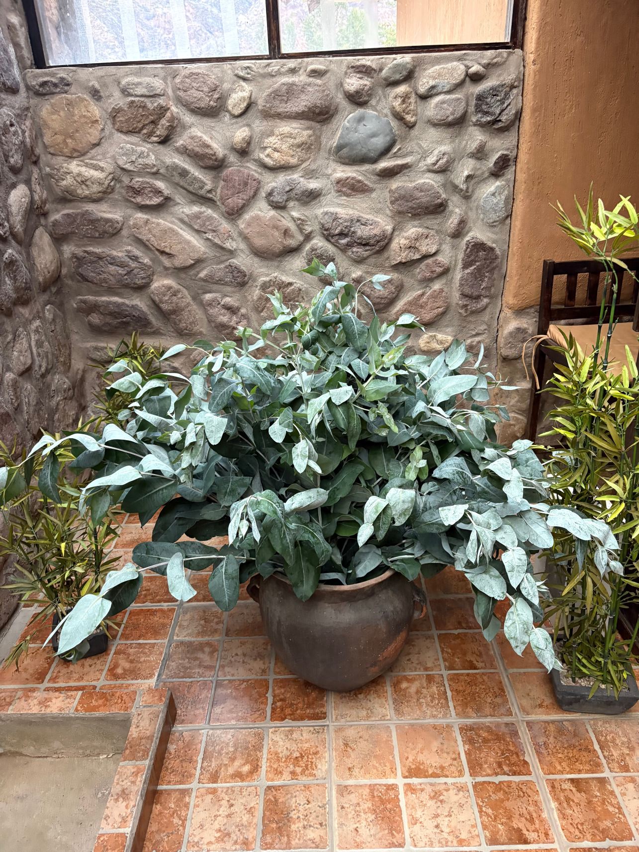 提亚拉维亚乌鲁班巴萨格拉多谷酒店-旅行者