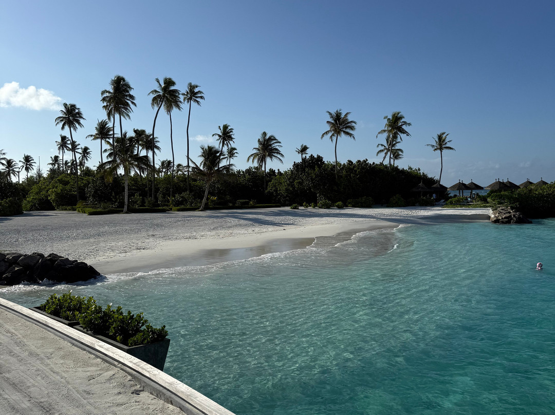 Joy Island Maldives by Cocoon Collection主图