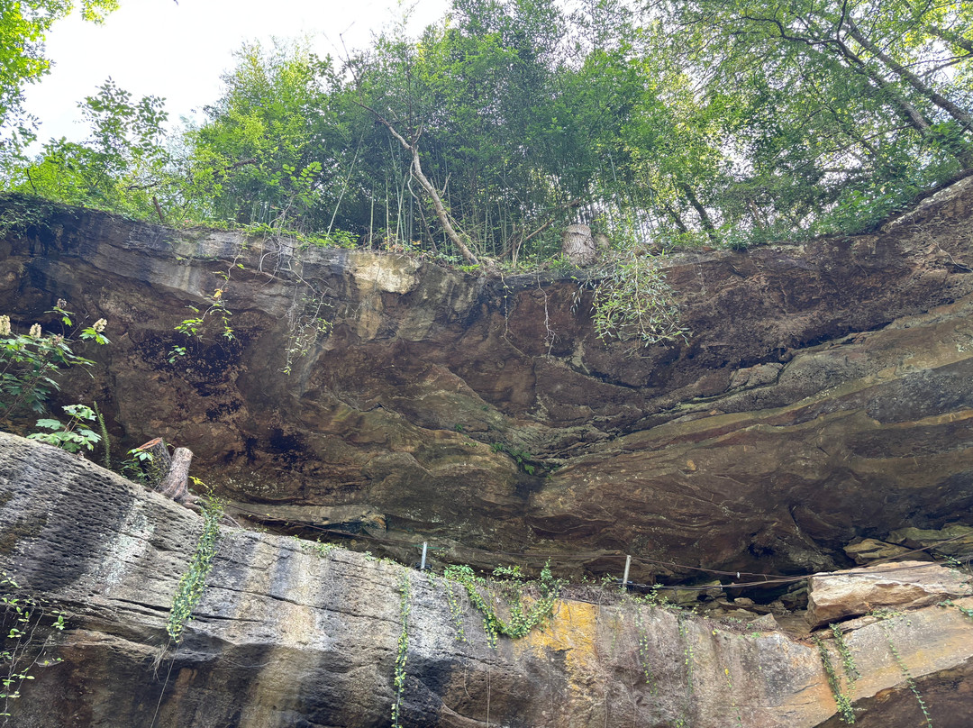 Rattlesnake Saloon-Tuscumbia必去景点