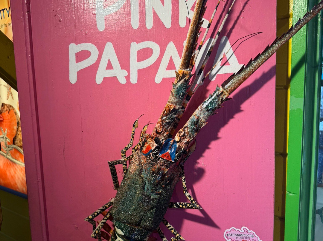 Pink Papaya-克鲁兹湾必去景点