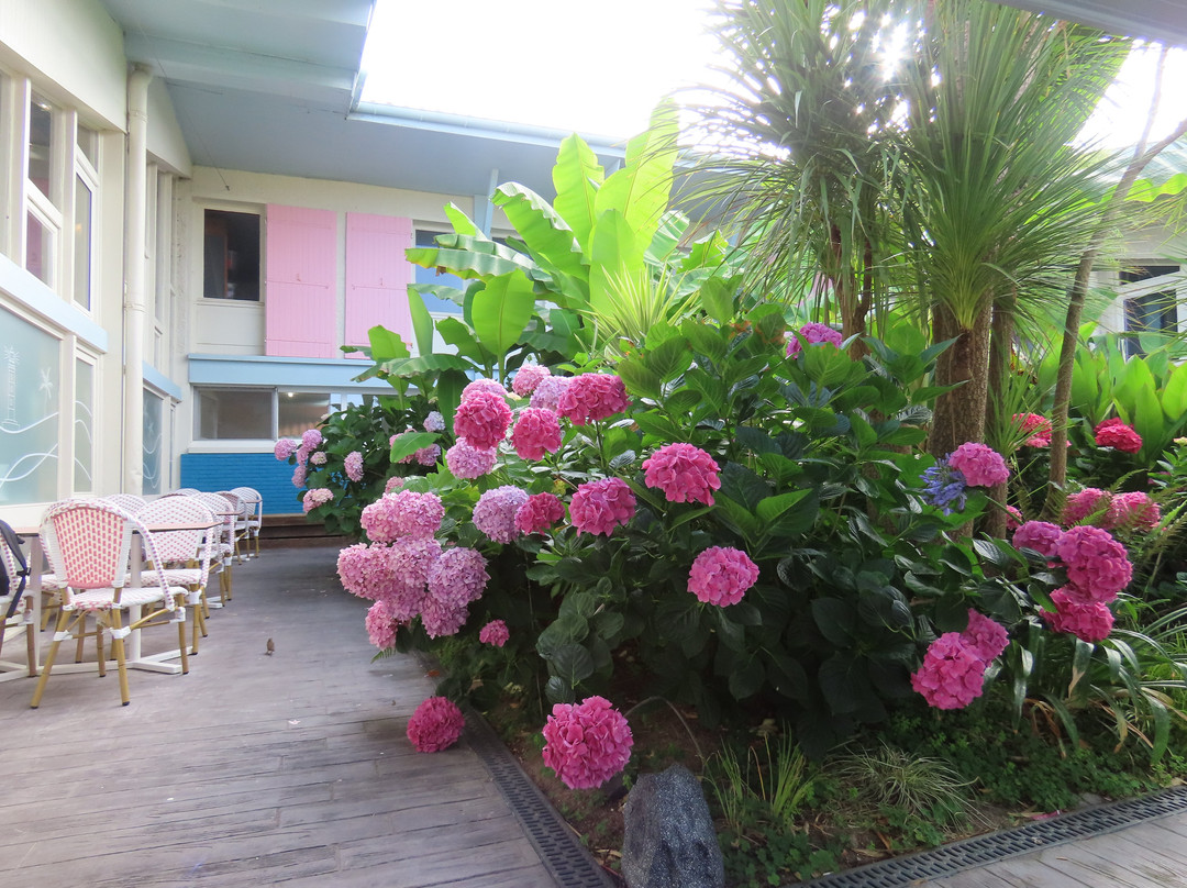Belambra Clubs Capbreton - les Vignes主图