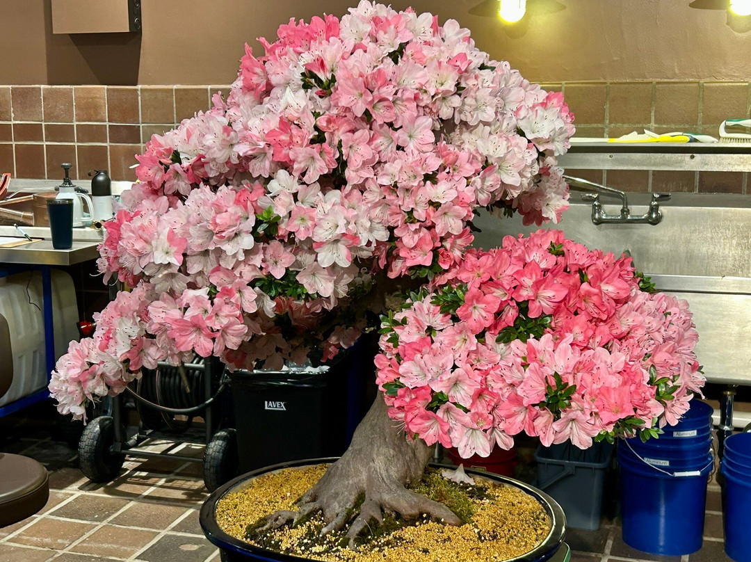Longwood Gardens-肯尼特斯奎尔必去景点