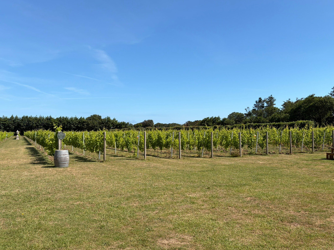 La Mare Wine Estate Jersey-St. Mary必去景点