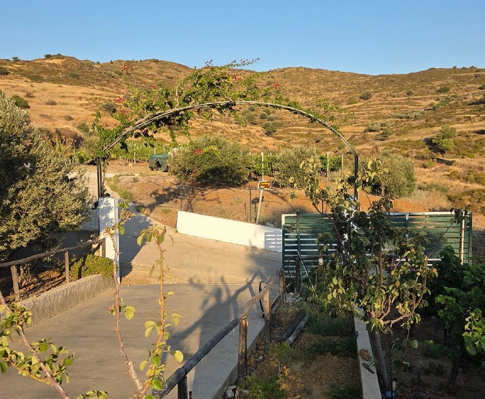 Hatzidakis Winery-Léros必去景点