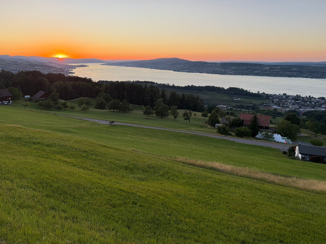 La Vista