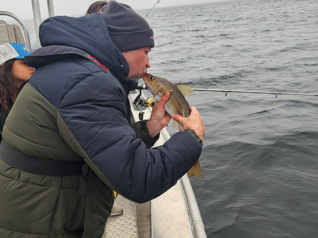 Wild Gros Morne-Trout River必去景点