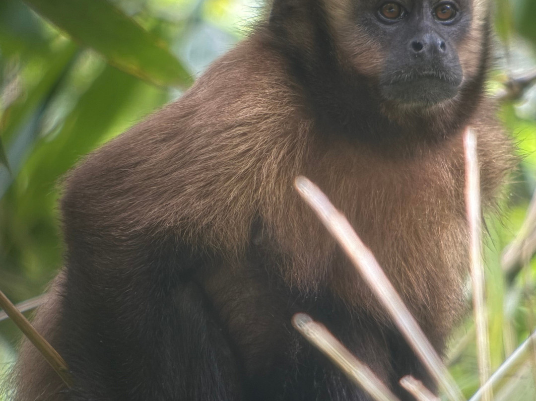Peru Amazon Expeditions-Manu必去景点