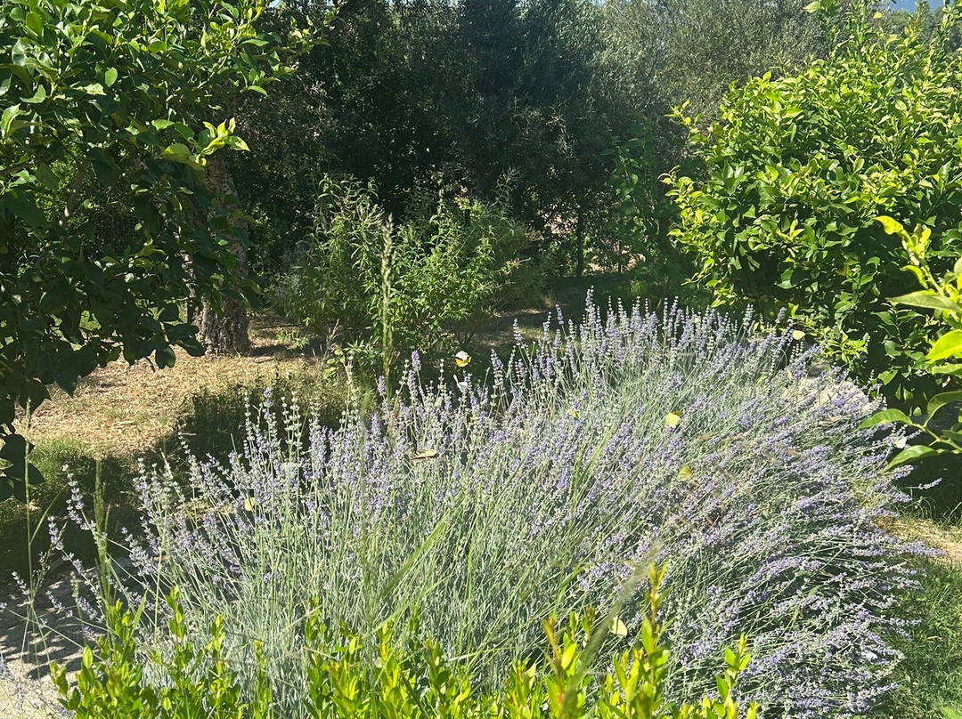 Domu Bresca