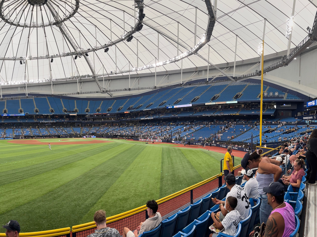 Tropicana Field-圣彼德斯堡必去景点