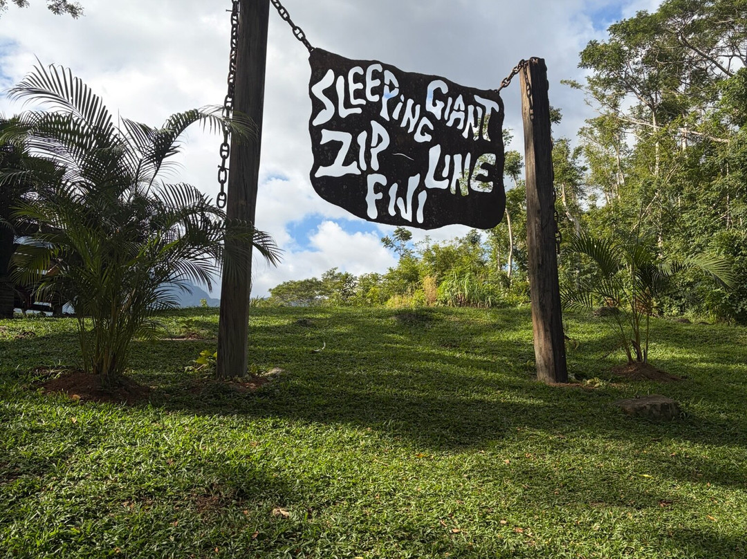 Sleeping Giant Zipline-纳迪市必去景点