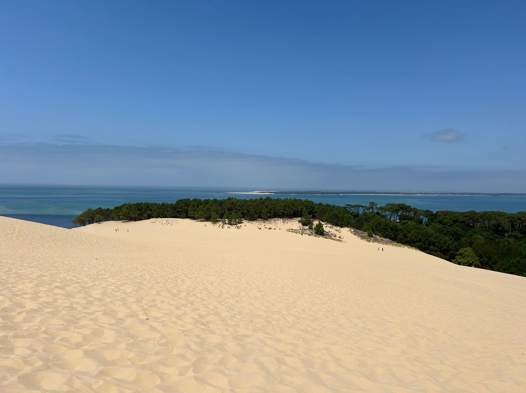 Great Dune of Pilat-拉泰斯特德比克必去景点