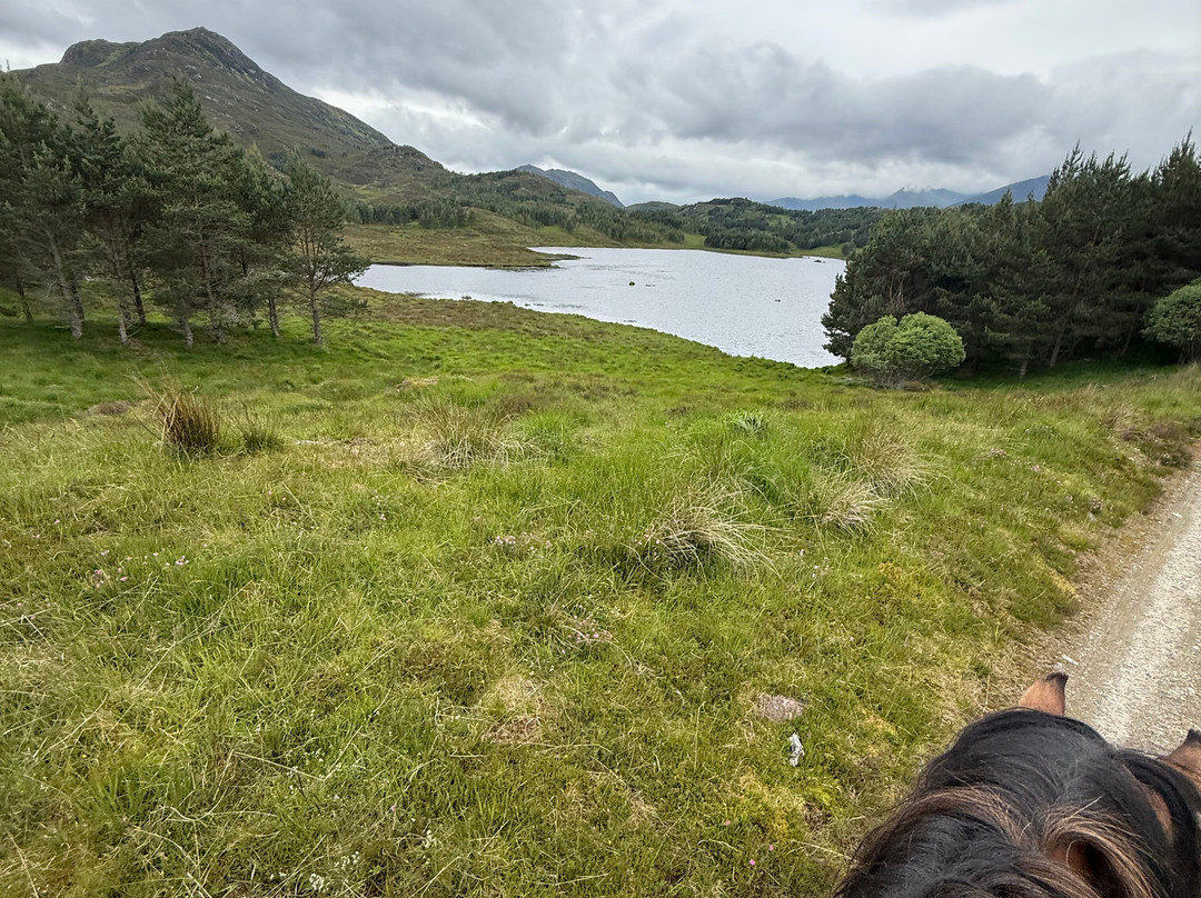Highland Trekking And Trail Riding-Cannich必去景点