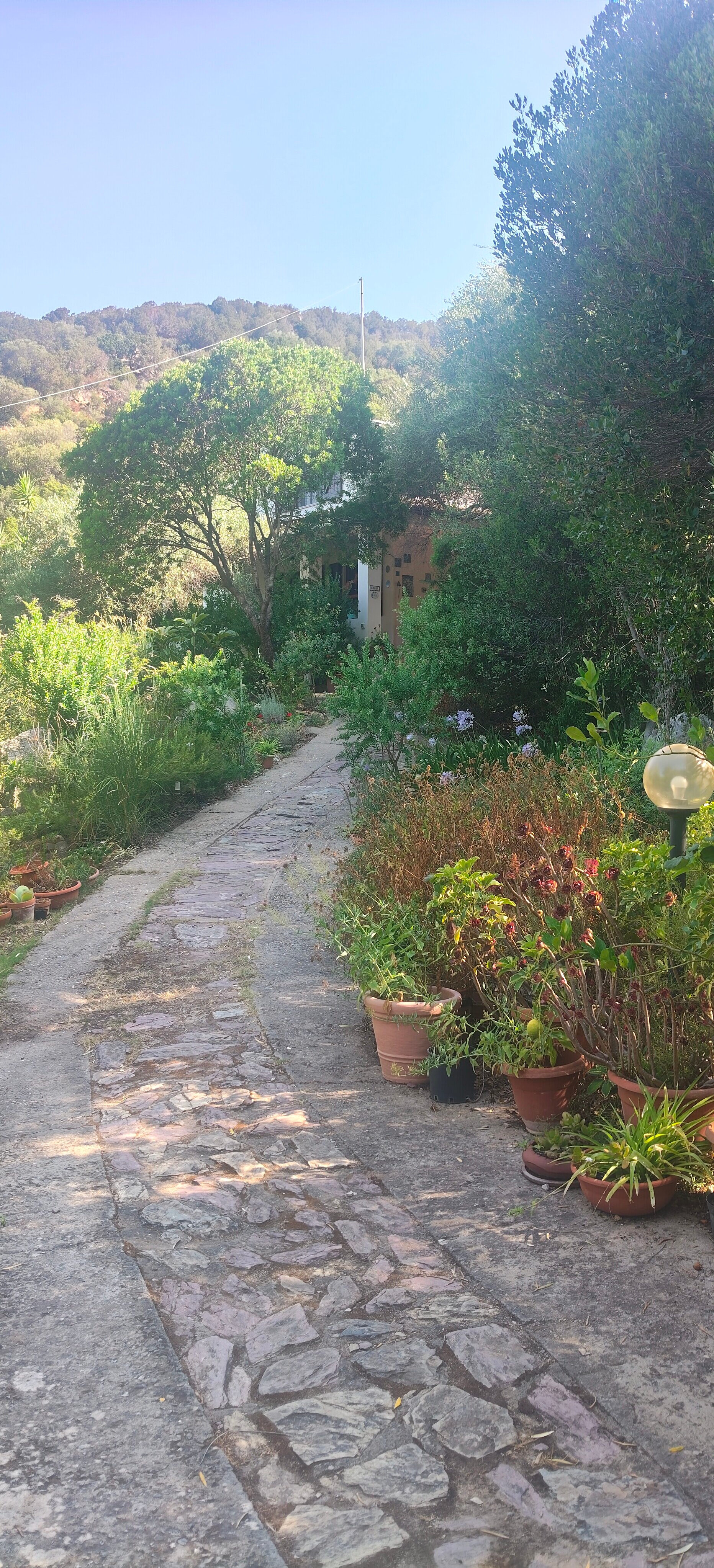 B&B S'Archiotta-旅行者