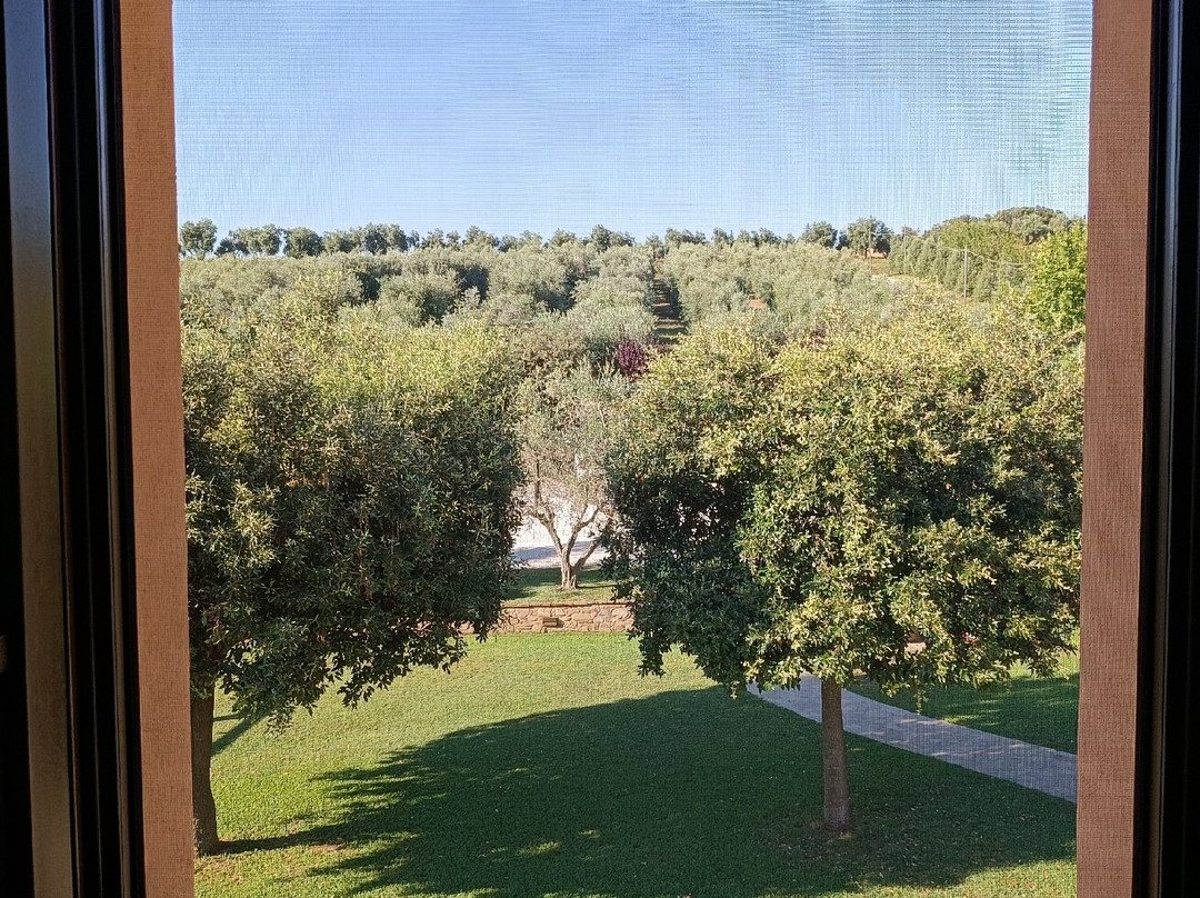 Agriturismo Le Bucoliche主图