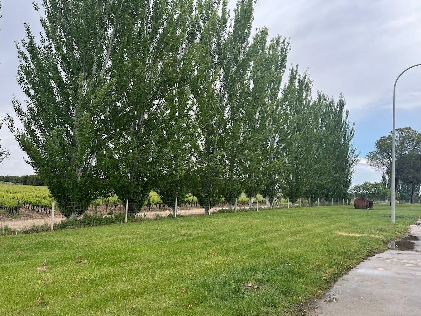 Bodegas y Vinedos Casa del Valle-Yepes必去景点