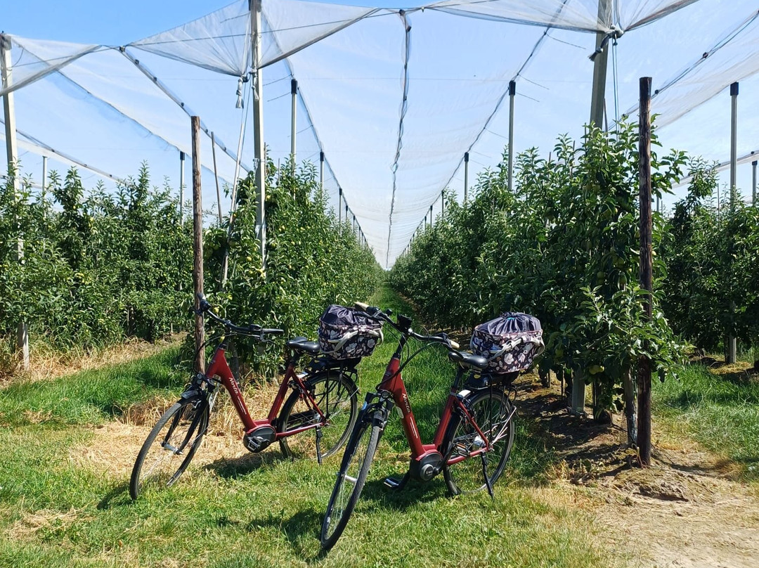 Haspengouw Per Fiets-Kortessem必去景点