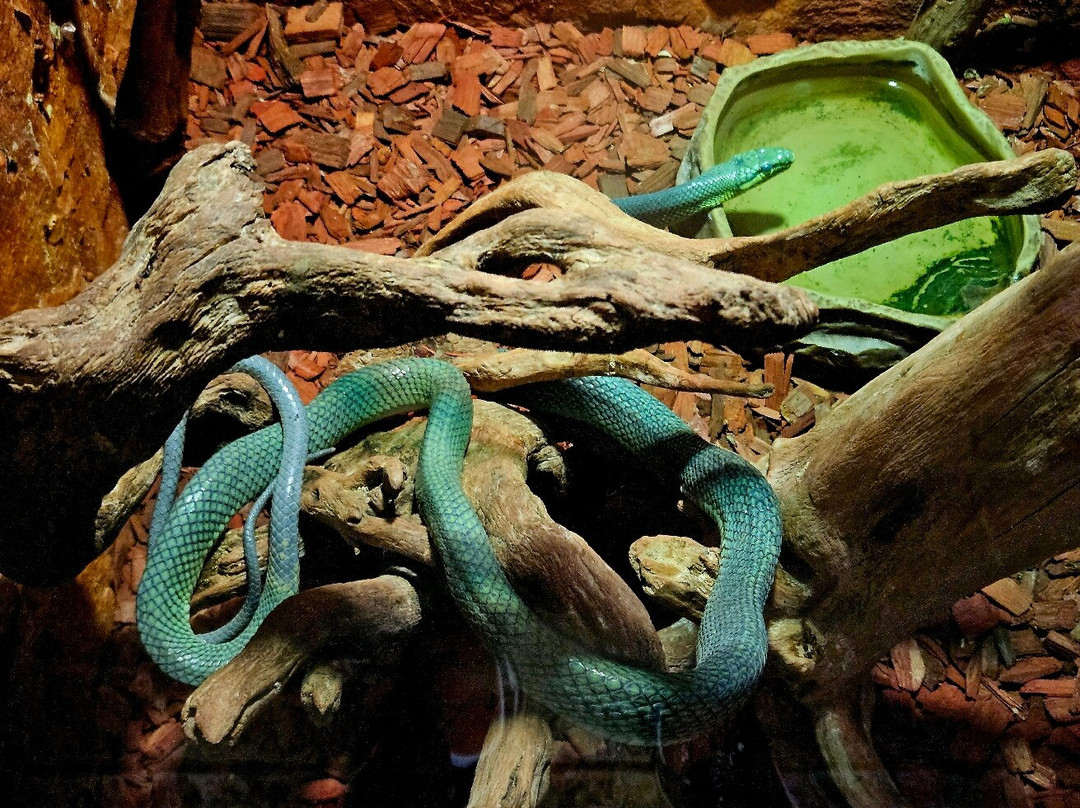Aquarium du Perigord Noir-Le Bugue必去景点