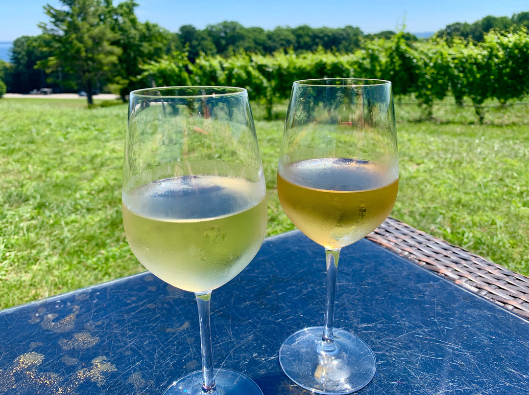 Mari Vineyards-特拉弗斯城必去景点