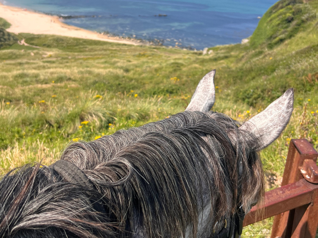 Bespoke Equestrian Ireland-都柏林必去景点