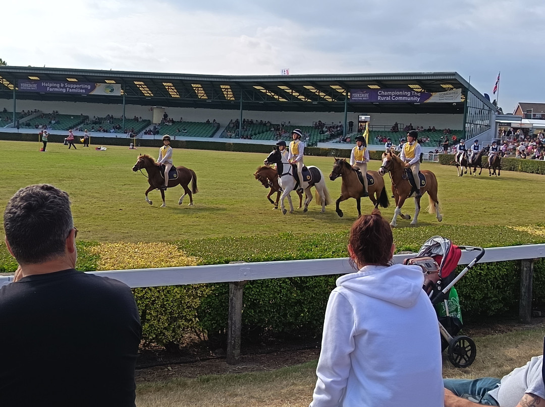 Great Yorkshire Show-哈罗盖特必去景点