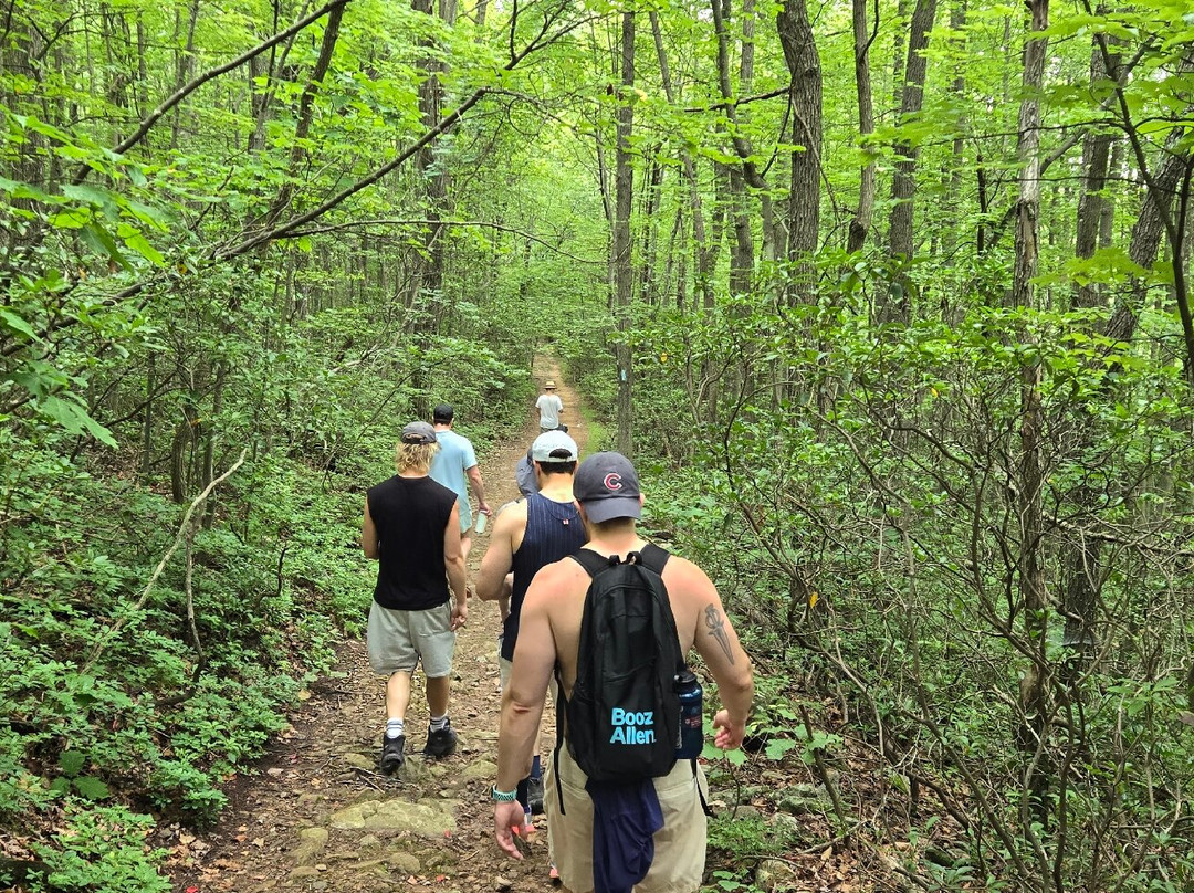 Pembroke Springs Retreat主图
