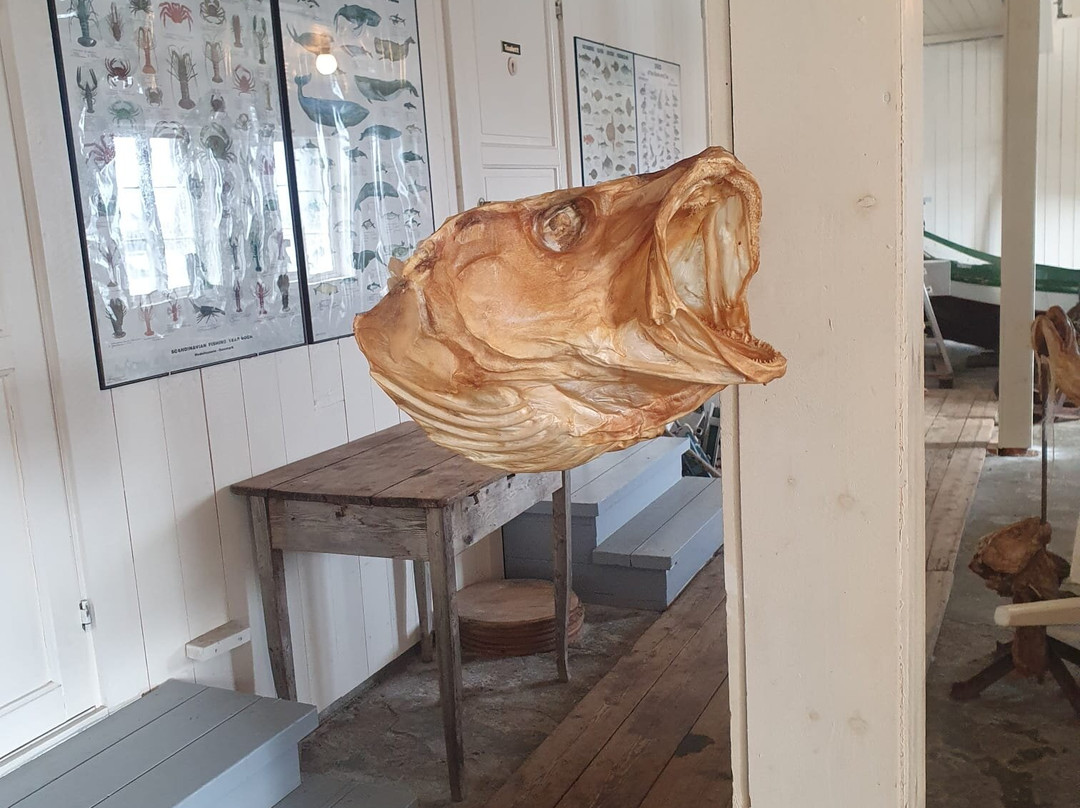 Lofoten Stockfish Museum-Moskenes Municipality必去景点