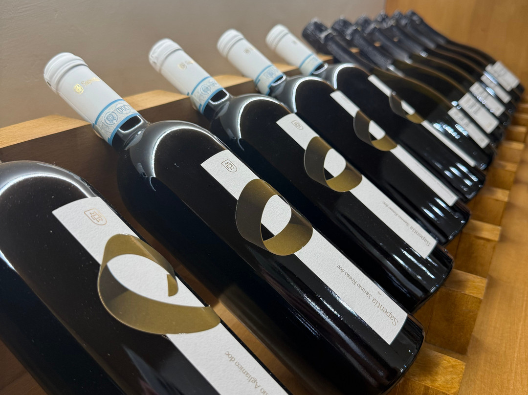 Sapentia Wine - L'Eredità del Vino-Guardia Sanframondi必去景点