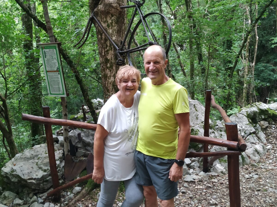 Bicicletta sull'albero - Madonna dell'emigrante boscaiolo-Strozza必去景点