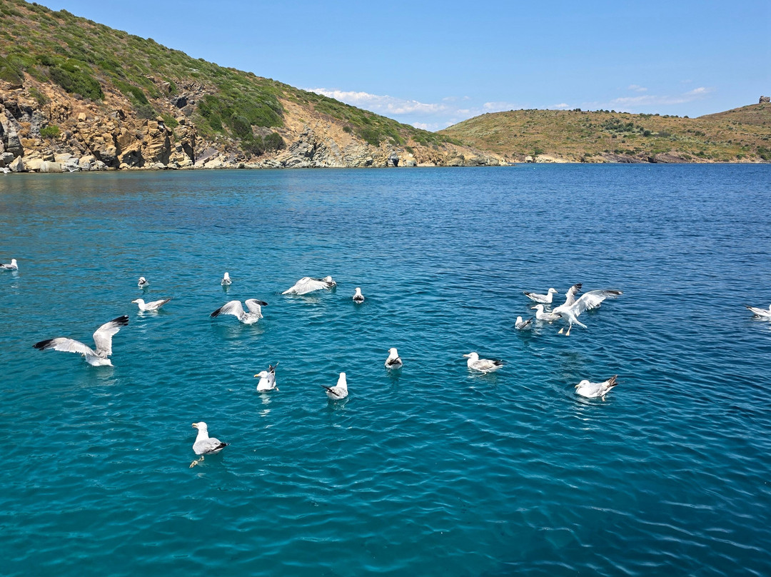 My Dream - Cunda Yat Turlari-Cunda Island必去景点