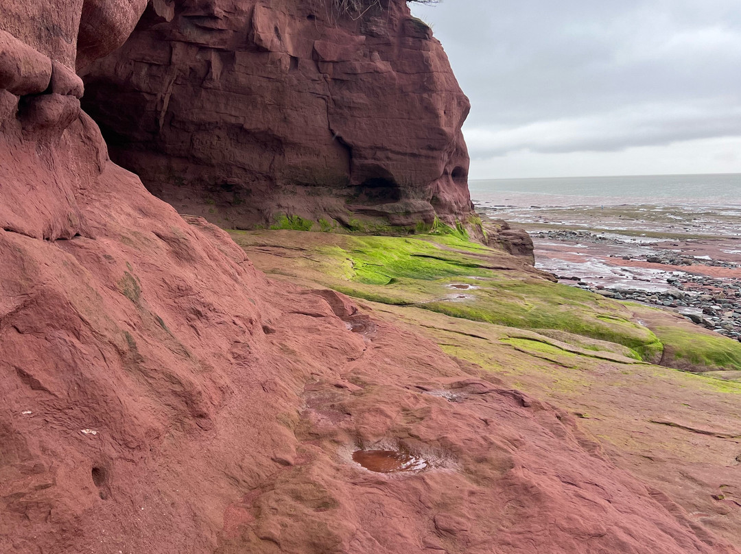 Burntcoat Head Park-Noel必去景点