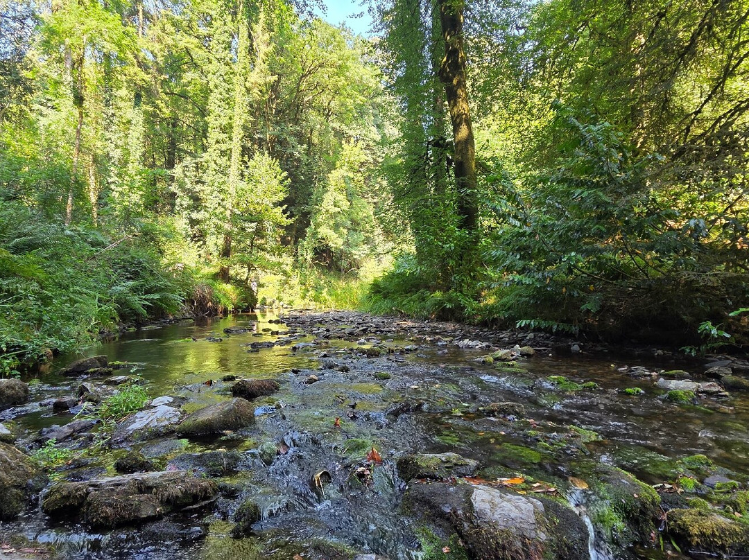 Lydford Gorge-Lydford必去景点