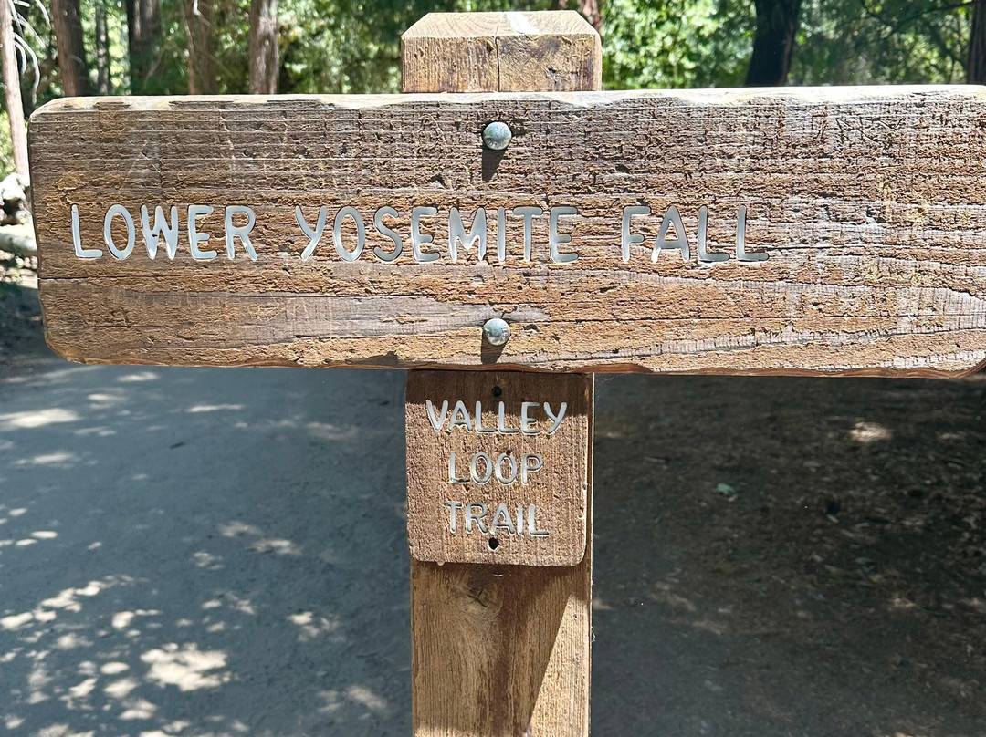 Lower Yosemite Fall Trail-优胜美地国家公园必去景点