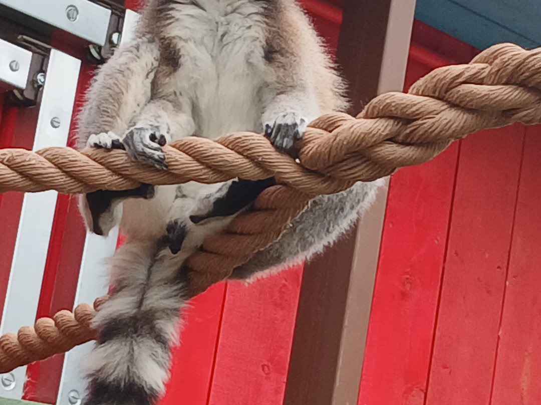 Hertfordshire Zoo-布罗克斯本必去景点