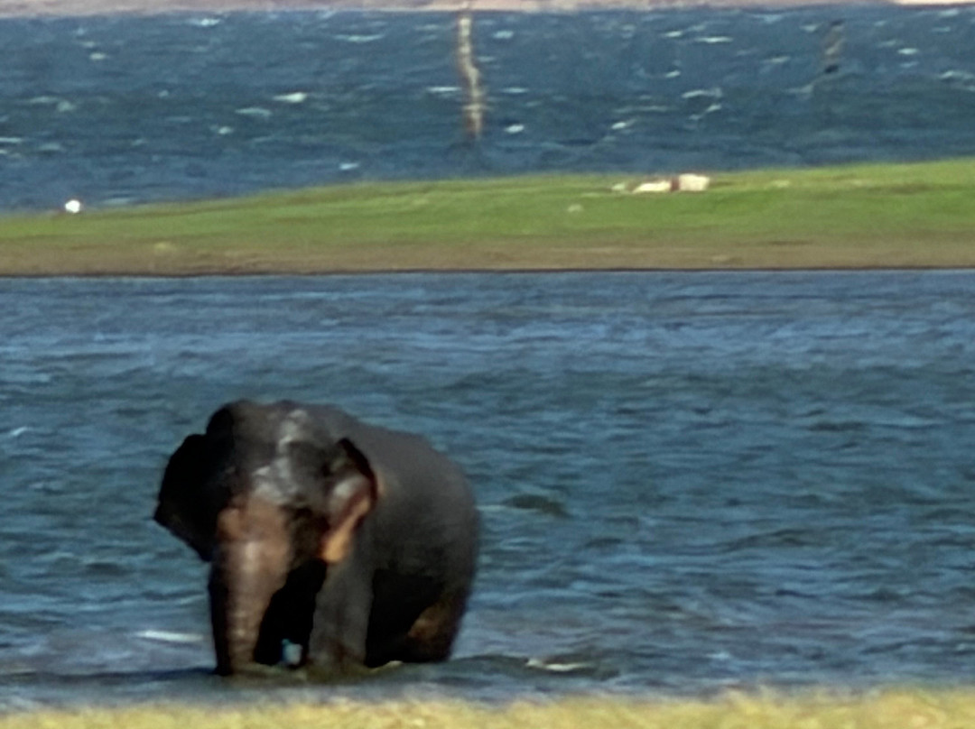 Sudath Safari and Tours Sri Lanka-锡吉里亚必去景点