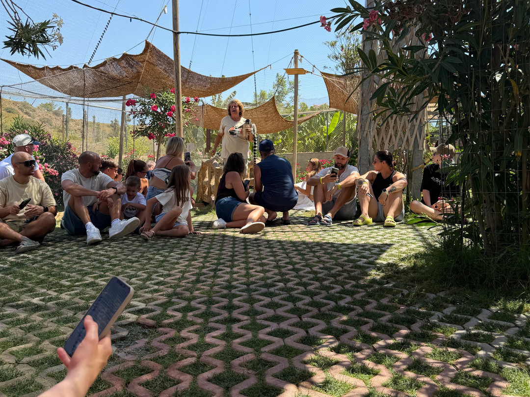 Farma of Rhodes Petting Zoo-Theologos必去景点