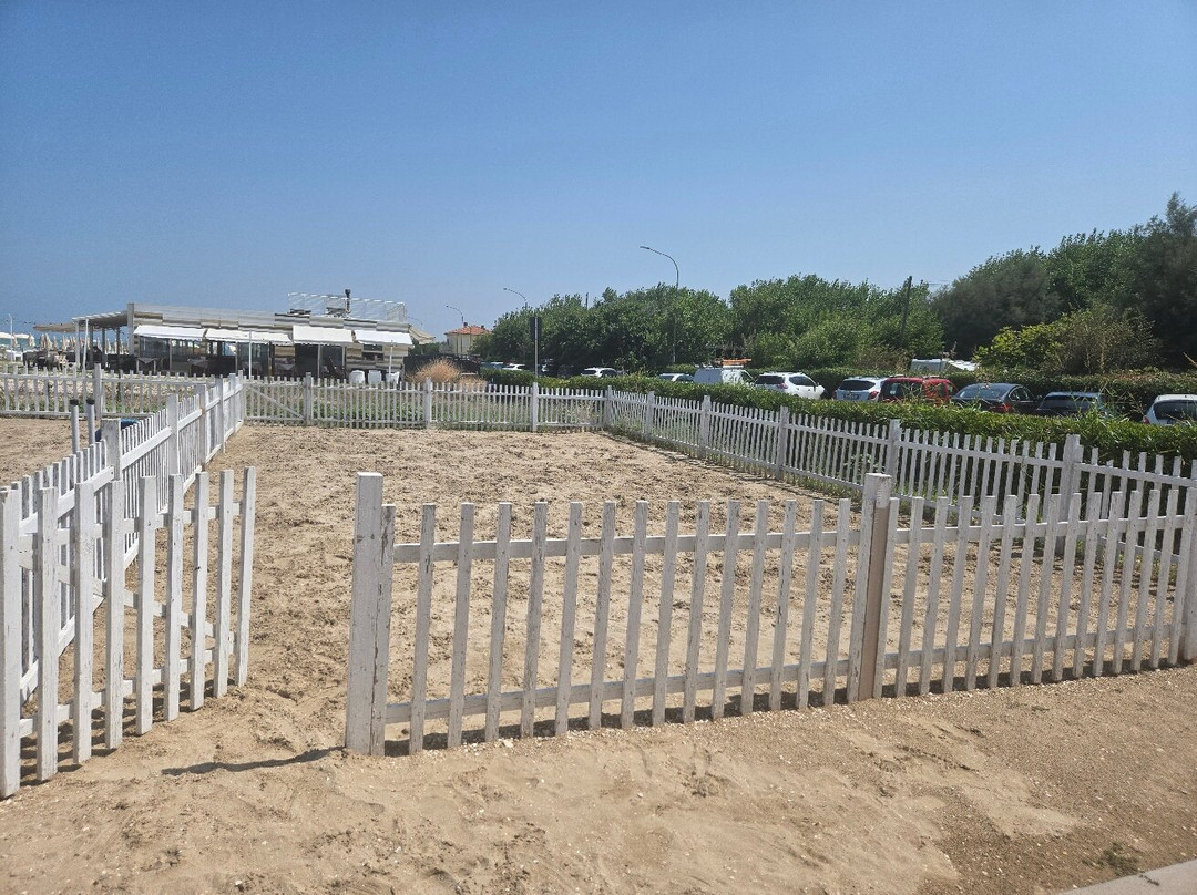 Scoby Doo Beach - Stabilimento Balneare Per Cani-塞尼加利亚必去景点