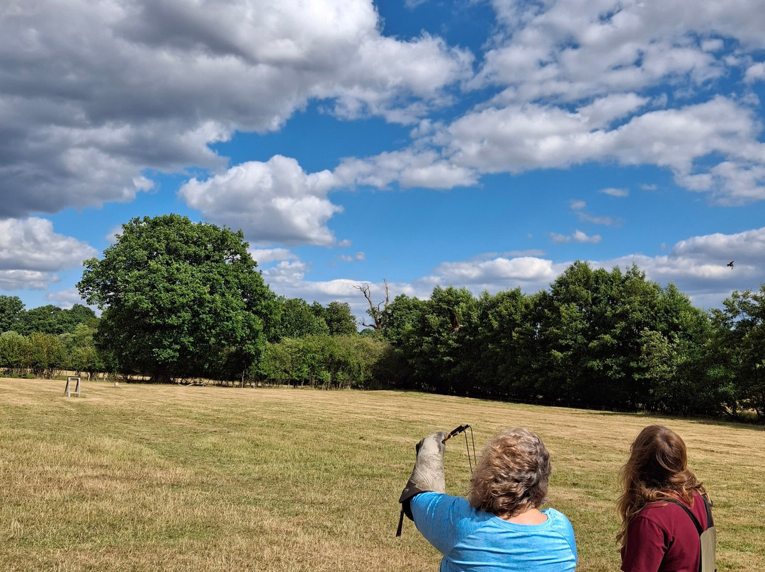 UK Owl And Raptor Centre-Groombridge必去景点