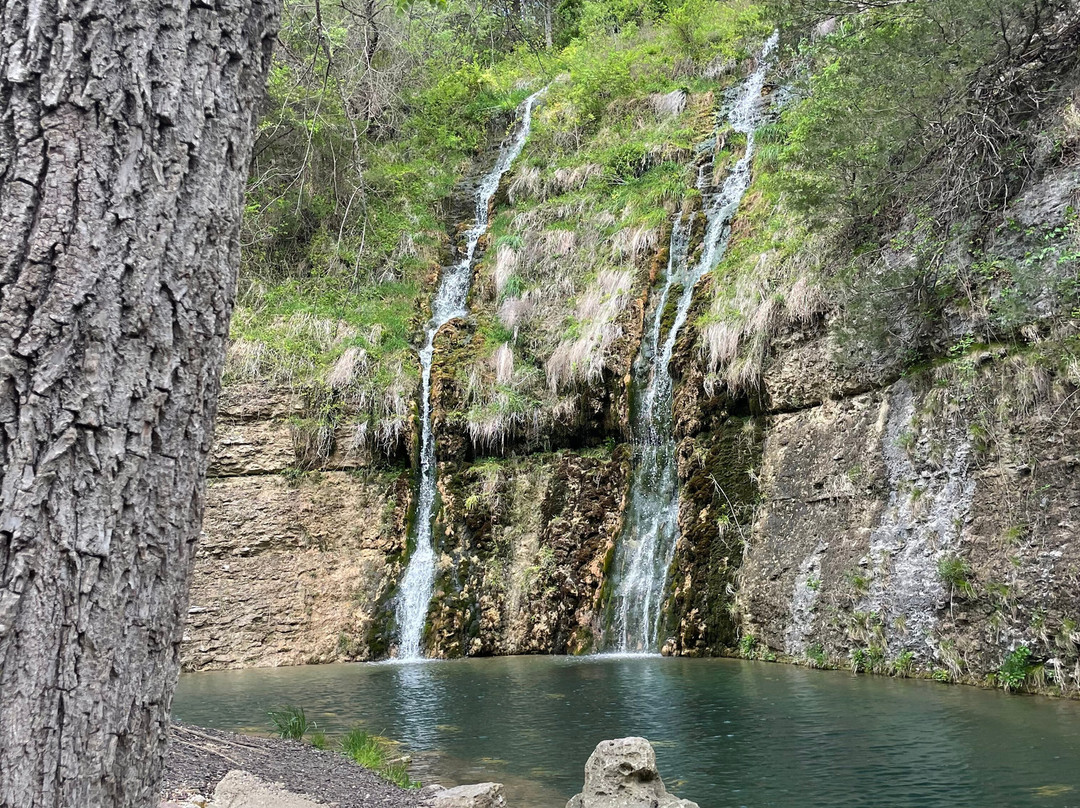 Dogwood Canyon Nature Park-Lampe必去景点