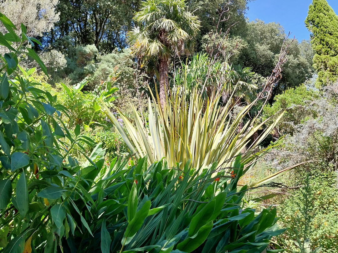Sas Les Jardins De Kerdalo-Tredarzec必去景点