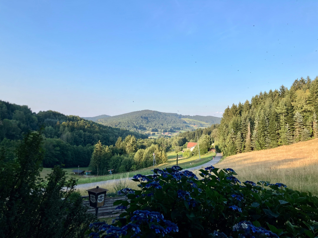Restaurant zum Schindldacherl