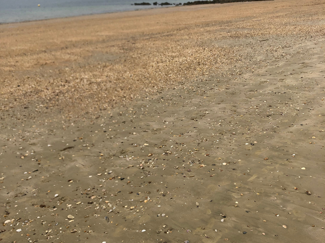 Playa de Seselle-Ares必去景点