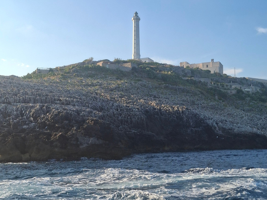 Escursioni Nemo-Torre Vado必去景点