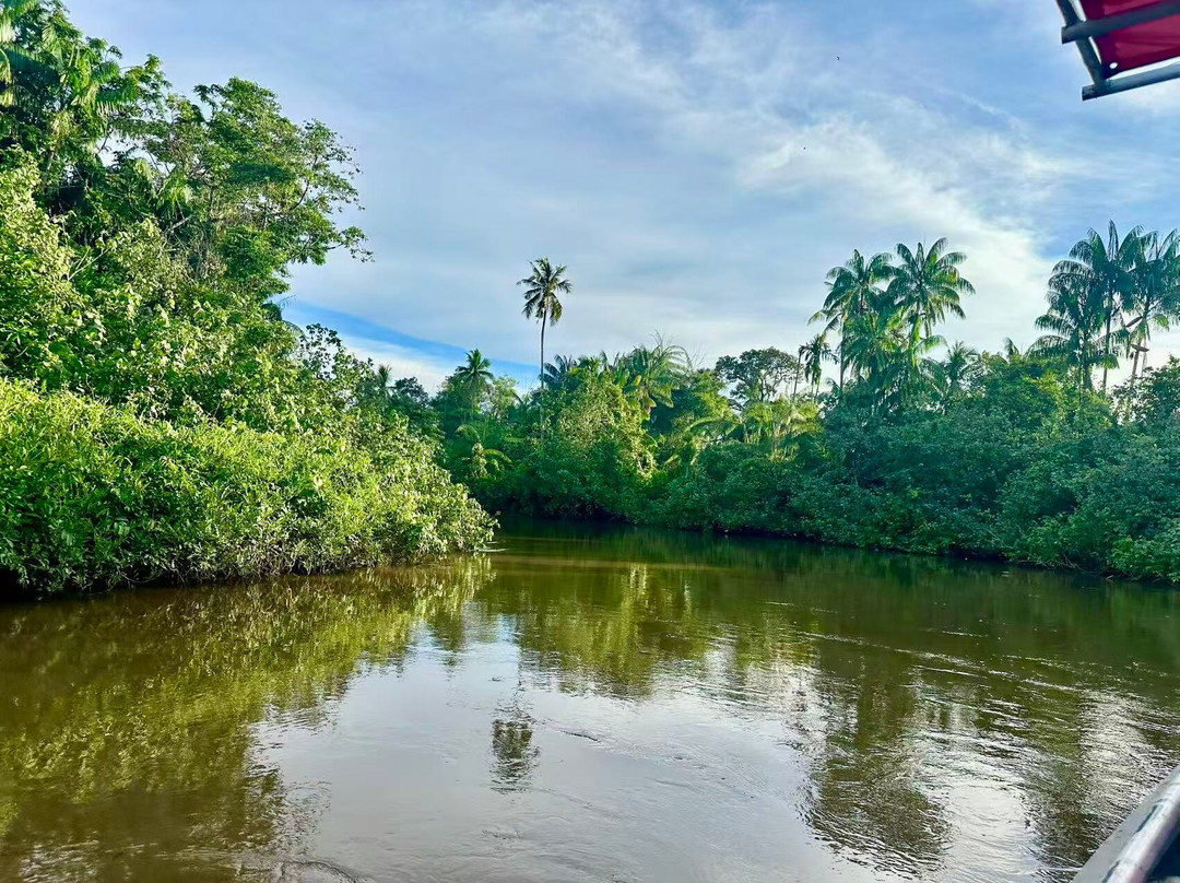 Bongawan Firefly Rivercruise-Bongawan必去景点