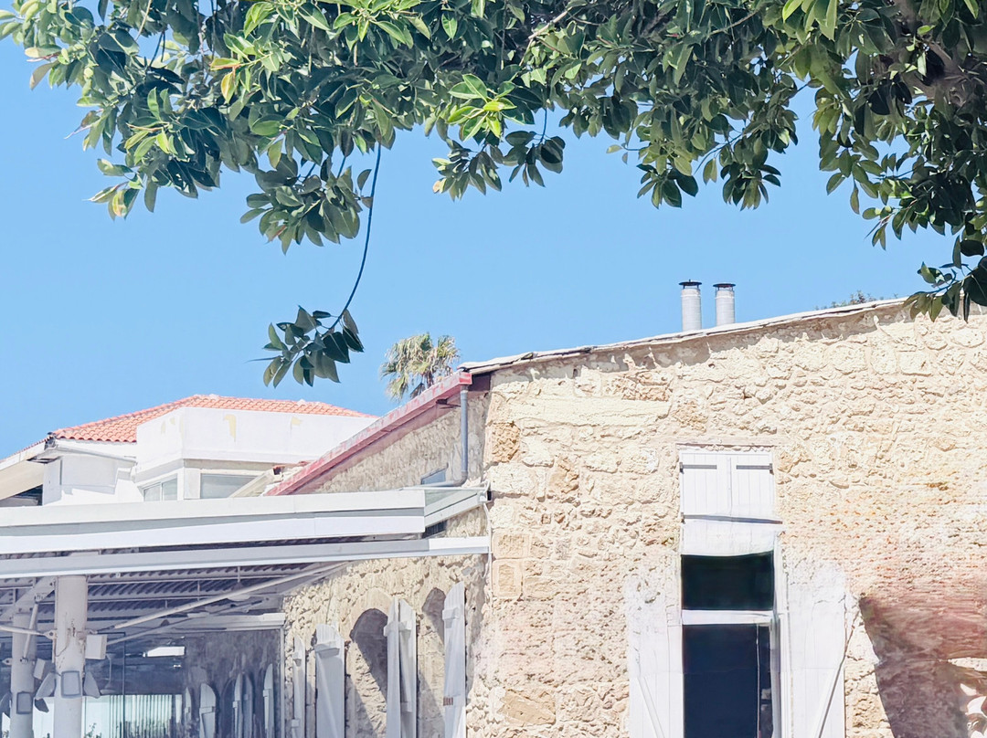 Paphos Harbour and Port-帕福斯必去景点