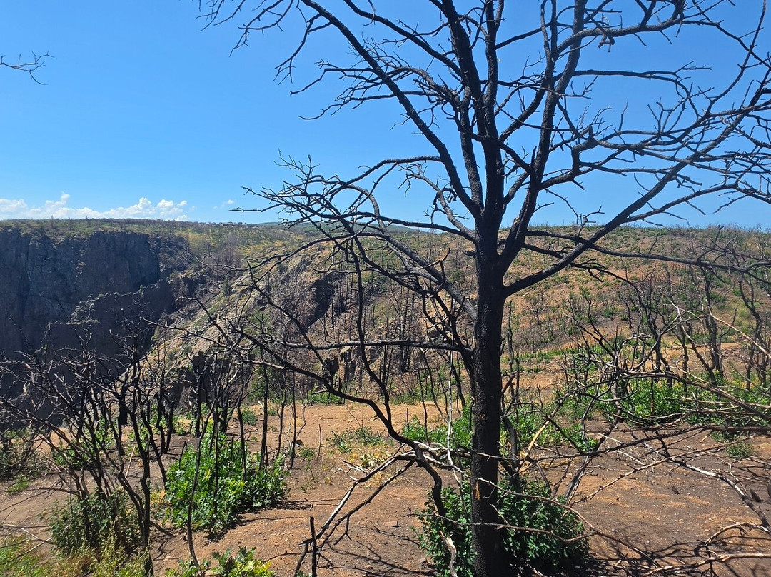 Black Canyon Of The Gunnison National Park-Black Canyon Of The Gunnison National Park必去景点